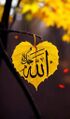 TAWHID